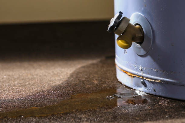 Best Flooded house restoration  in Vidalia, GA