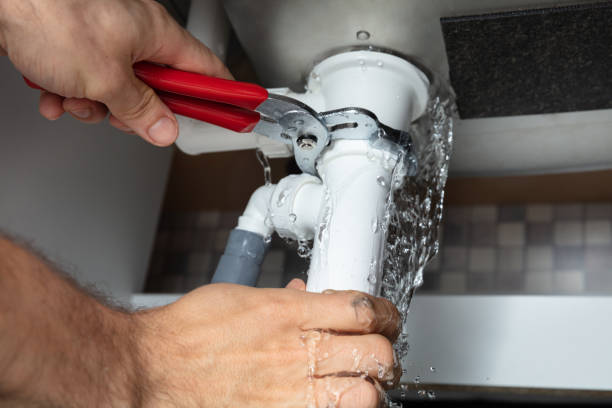 Best Water damage restoration mold remediation  in Vidalia, GA