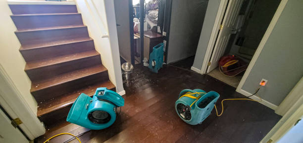 Best Water damage cleanup near me  in Vidalia, GA