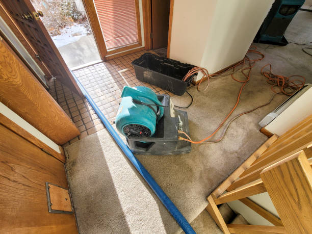 Best Water damage repair service  in Vidalia, GA