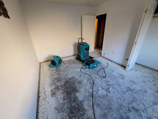 Local water damage restoration in Vidalia, GA