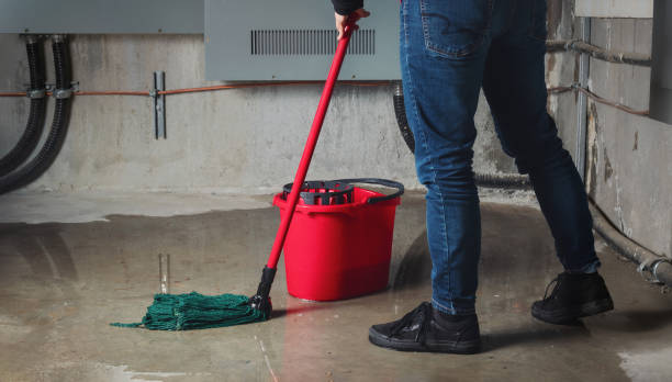 Best Fire Damage Restoration  in Vidalia, GA