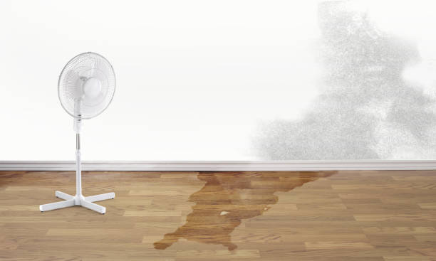 Best Carpet water damage restoration  in Vidalia, GA