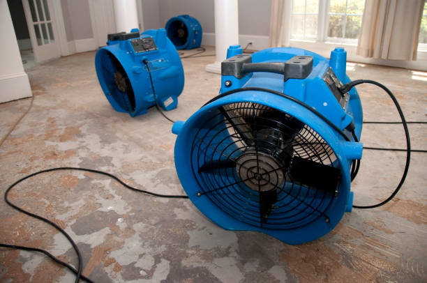 Water damage restoration experts in Vidalia, GA