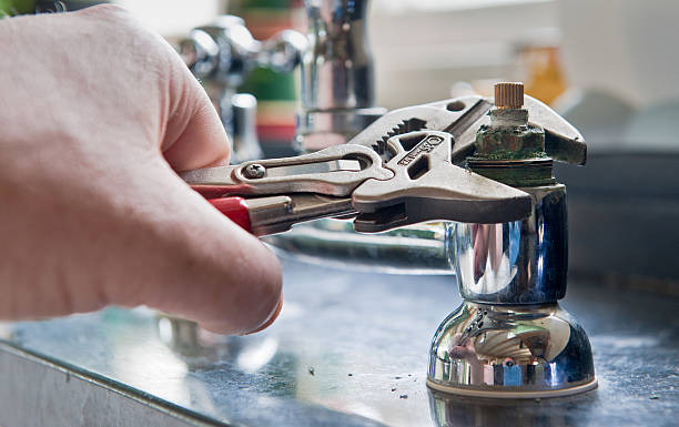 Best Mold removal after water damage  in Vidalia, GA