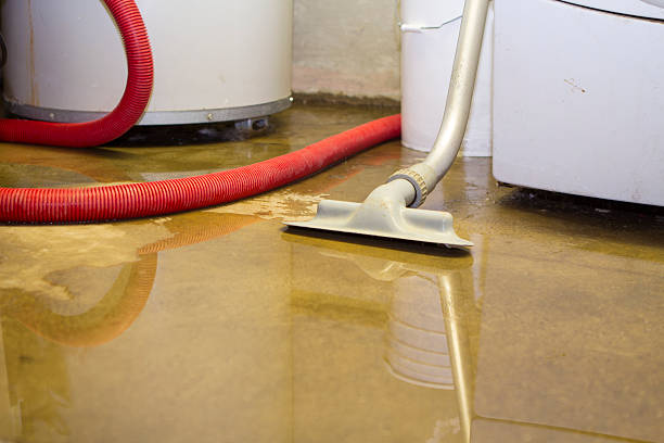  Vidalia, GA Water damage restoration Pros