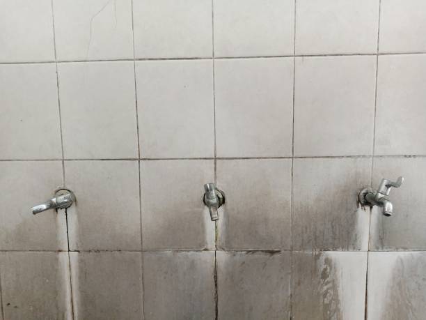 Best Ceiling water damage repair  in Vidalia, GA