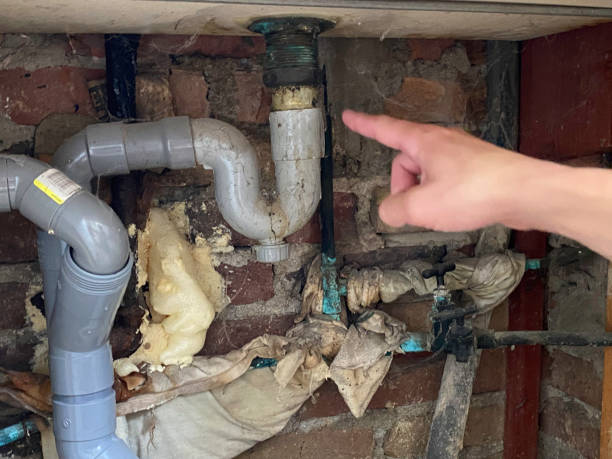 Trusted Vidalia, GA Water damage restoration Experts
