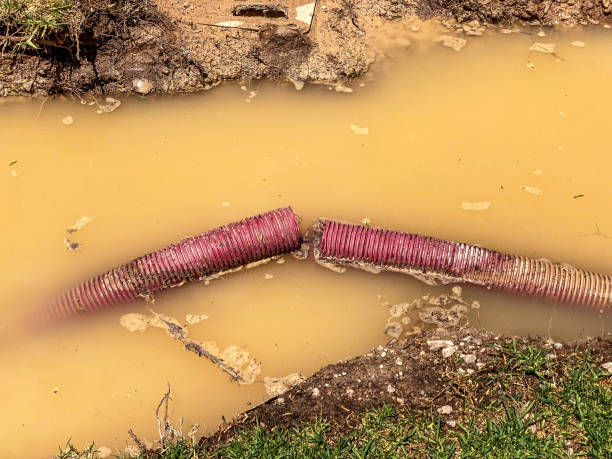 Carpet water damage restoration in Vidalia, GA