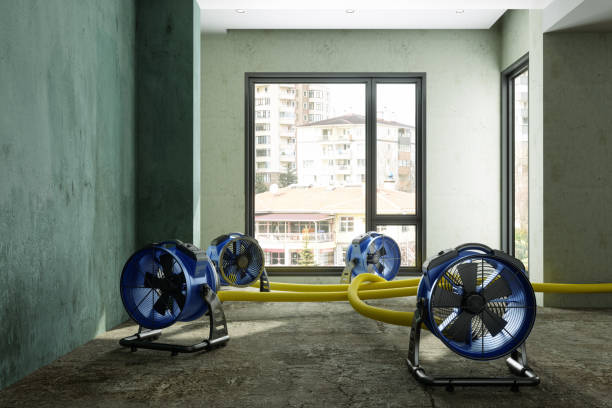Best Residential water damage restoration  in Vidalia, GA