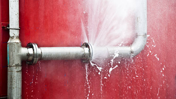 Best Local water damage restoration  in Vidalia, GA